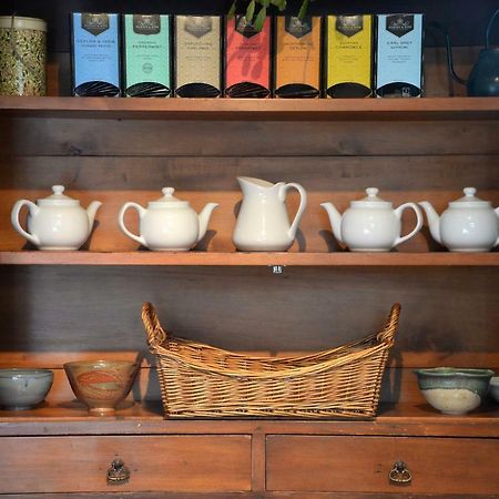The Springwater Bed And Breakfast 萨拉托加斯普林斯 外观 照片