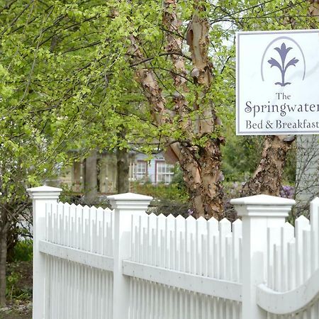 The Springwater Bed And Breakfast 萨拉托加斯普林斯 外观 照片