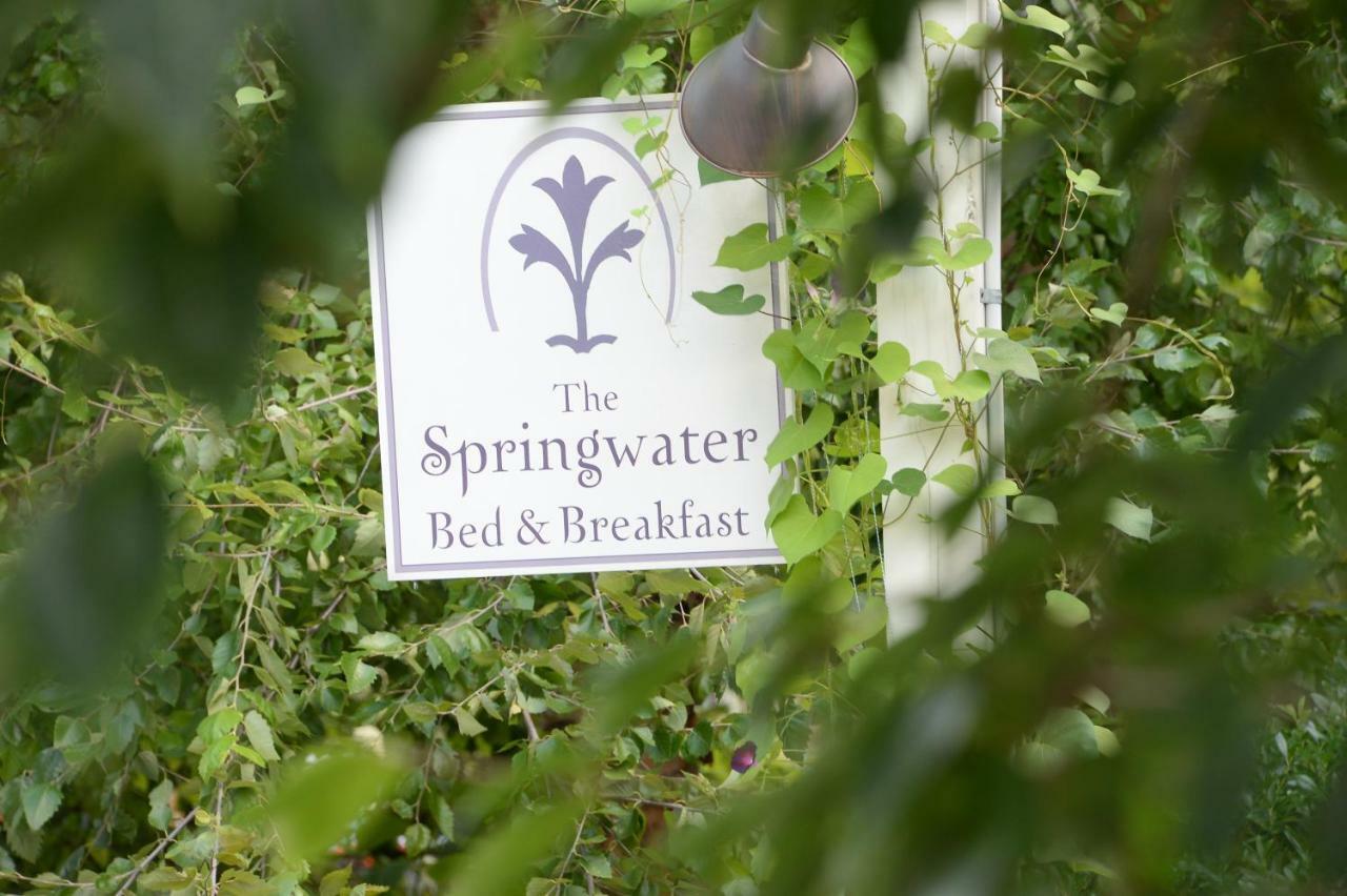 The Springwater Bed And Breakfast 萨拉托加斯普林斯 外观 照片