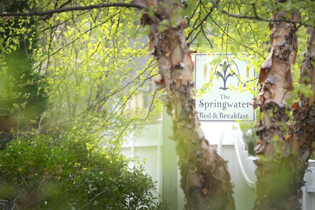 The Springwater Bed And Breakfast 萨拉托加斯普林斯 外观 照片